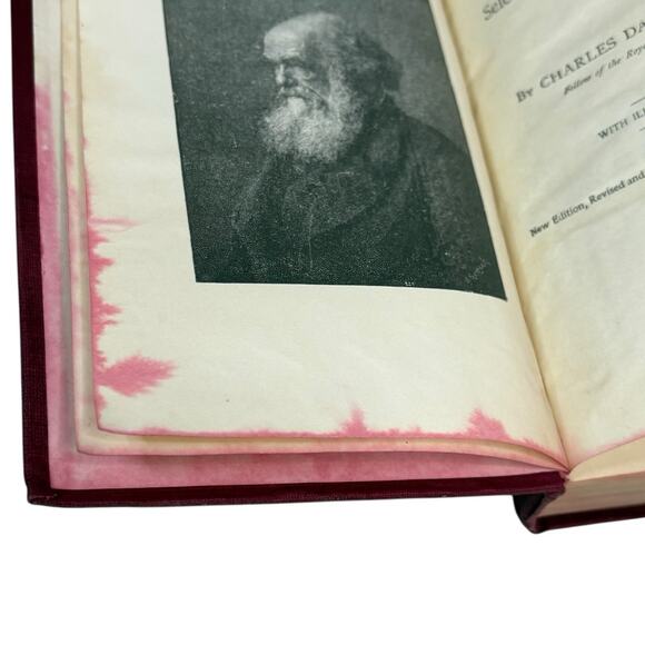 HC 1874 "The Descent of Man and Selection in Relation to Sex" Darwin Hurst & CO - Picture 14 of 16